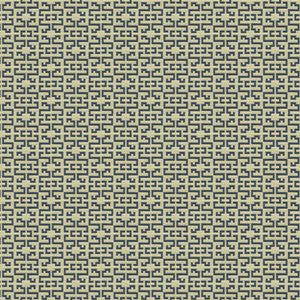 Kravet Smart 26380-516 by Kravet Smart Fabric