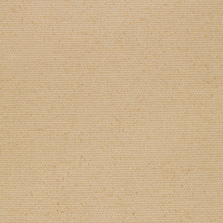 Shantung Plain Weave Sisal 2643461 by Schumacher Designer Fabric OPULENT TEXTURES SILK 100% INDIA WYZENBEEK 18,000 </p><p>Repeat: Horizontal: and Vertical: 54 - Swanky Fabrics -