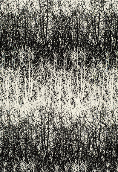 Birches Black 2644021 by Schumacher Fabric - 100% Cotton - Horizontal: 13.5 and Vertical: 29.5 54 - Fabric Carolina -