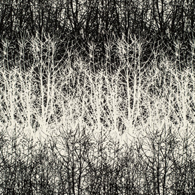 Birches Black 2644021 by Schumacher Fabric Schumacher Fabric Birches Black 2644021Fabric COTTON 100% UNITED STATES OF AMERICA </p><p>Repeat: H: HORZ. 13 1/2" (34CM) , V: VERT. 29 1/2" (75CM) 54 - Fabric Carolina -