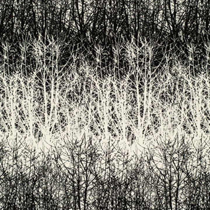 Birches Black 2644021 by Schumacher Fabric GOOD VIBRATIONS COTTON 100% UNITED STATES OF AMERICA </p><p>Repeat: Horizontal: 13 1/2" (34CM) and Vertical: 29 1/2" (75CM) 54 - Fabric Carolina -