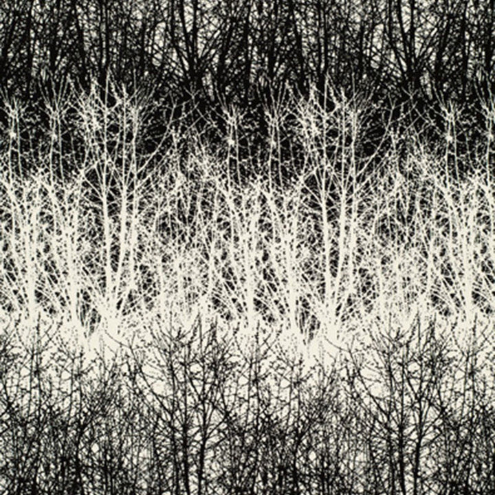 Birches Black 2644021 by Schumacher Designer Fabric GOOD VIBRATIONS See Sample UNITED STATES OF AMERICA TO BE DETERMINED </p><p>Repeat: Horizontal: 13 1/2" (34CM) and Vertical: 29 1/2" (75CM) 54" WIDE (137CM) - Swanky Fabrics -