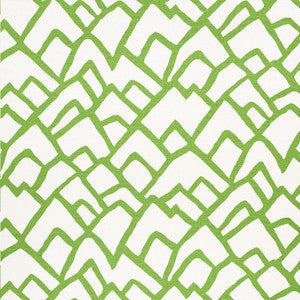 Zimba Lawn 2644335 by Schumacher Fabric