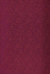 Kyousha Silk Lacquer 2644520 by Schumacher Fabric