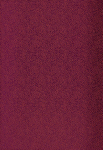 Kyousha Silk Lacquer 2644520 by Schumacher Fabric
