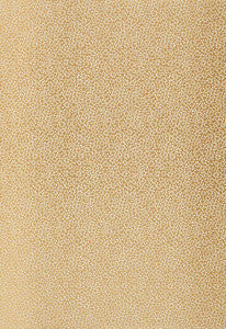 Kyousha Silk Champagne 2644521 by Schumacher Fabric