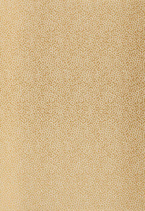 Kyousha Silk Champagne 2644521 by Schumacher Fabric