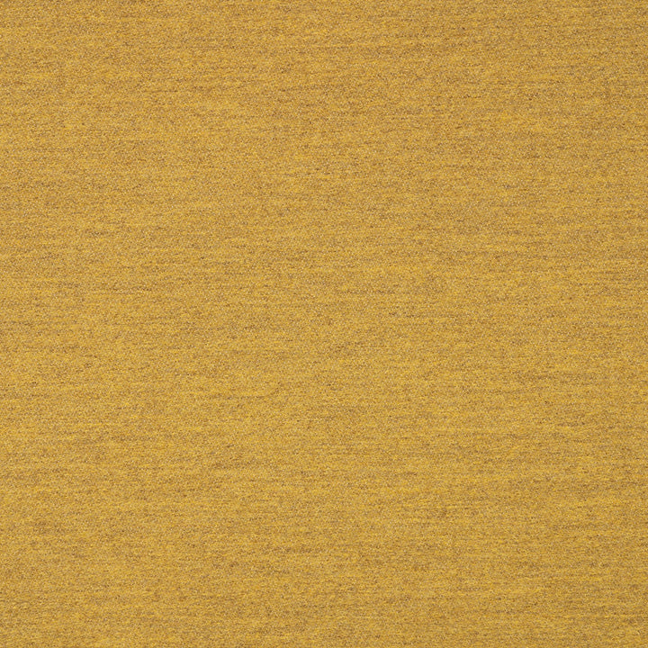 40501-0008 Pashmina Saffron by Sunbrella Fabric Sunbrella Transcend Sunbrella® Acrylic, Sunbrella® Polyester USA or Imported 5-Year Horizontal: and Vertical: 60 yd. 54 in. - Fabric Carolina -