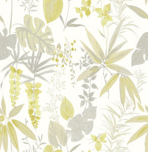 Descano Flower Golden Green Botanical Wallpaper by A-Street Prints