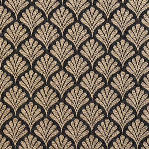 2660 Onyx/Fan by Charlotte Fabric