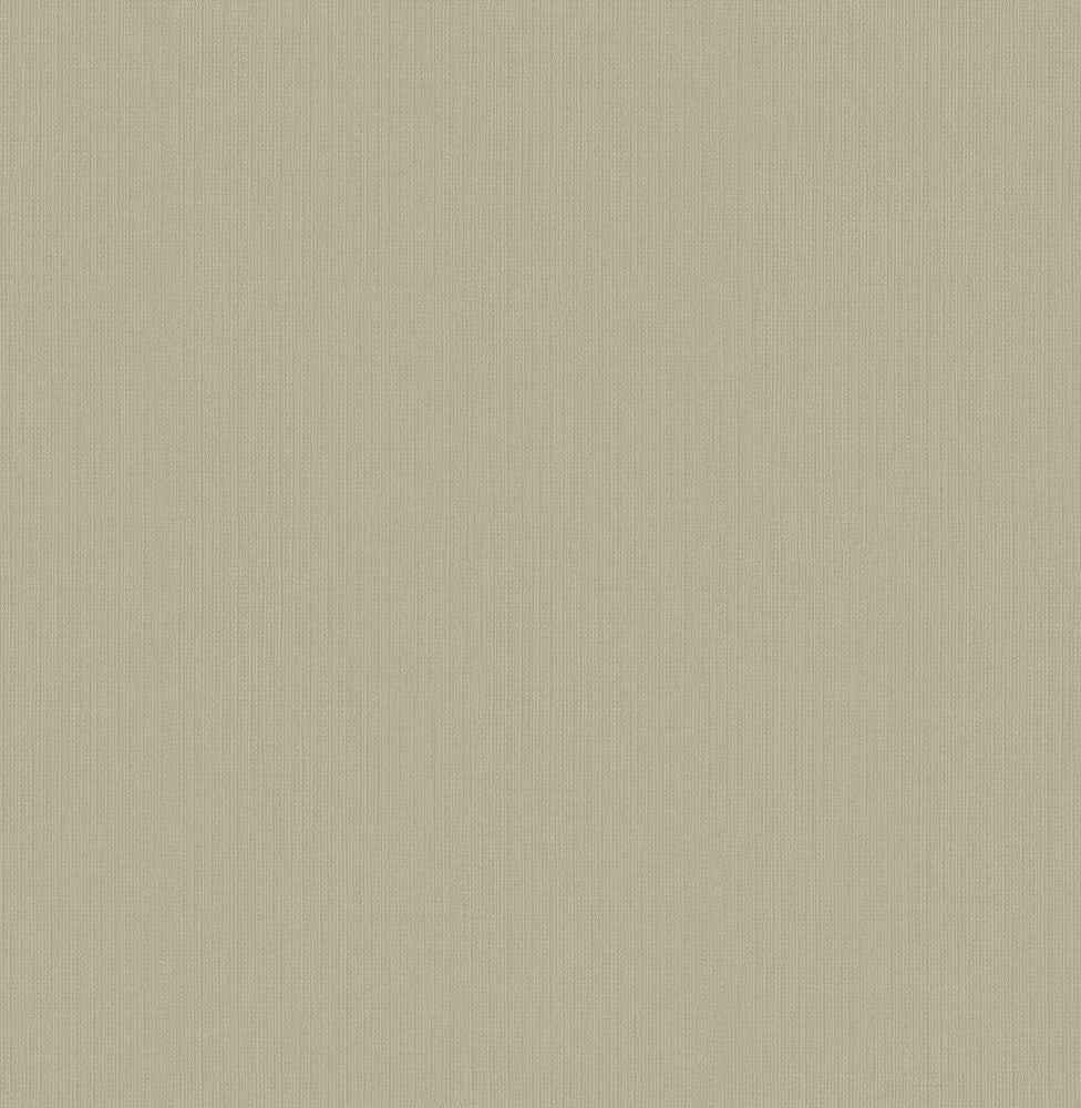 Reflection Beige Texture Wallpaper by Brewster Precision Covers about 56.4 square feet 20.5-in by 33-ft long roll Unpasted 0 - Fabric Carolina -