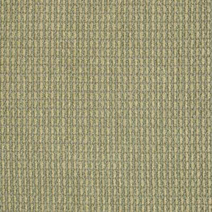Ravishing Peapod by Kravet Design Fabric