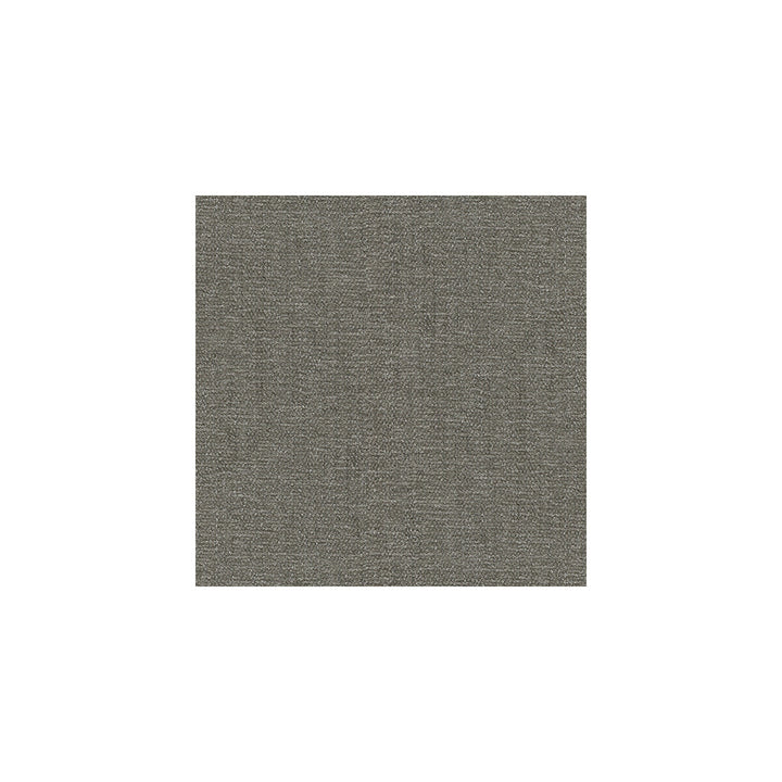 26837-11 by Kravet Smart Fabric POLYESTER - 100% India HEAVY Horizontal: 0 and Vertical: 0 54 - Fabric Carolina -