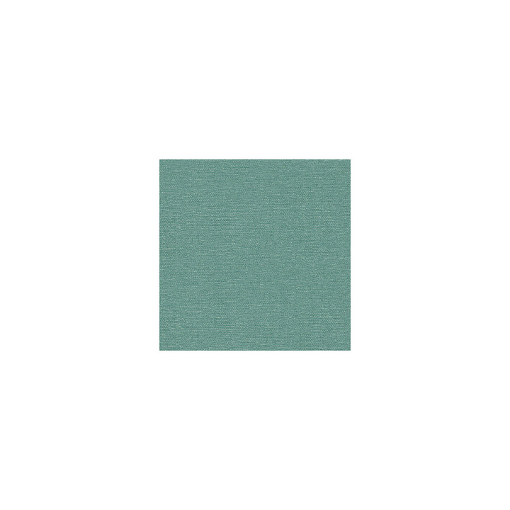 26837-135 by Kravet Smart Fabric - POLYESTER - 100% India HEAVY Horizontal: 0 and Vertical: 0 54 - Fabric Carolina -