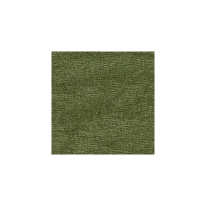 26837-3333 by Kravet Smart Fabric - POLYESTER - 100% India HEAVY Horizontal: 0 and Vertical: 0 54 - Fabric Carolina -