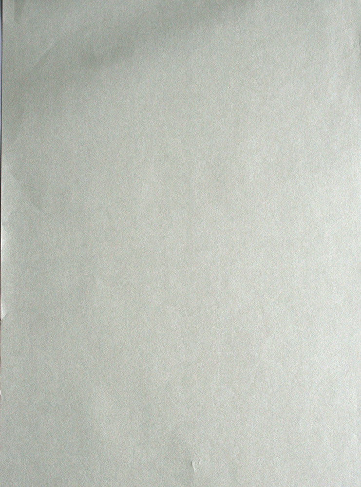 Texture Silver Star Wallpaper by Brewster Kitchen, Bed, & Bath IV Covers about 56.4 square feet 20.5-in by 33-ft long roll Unpasted 0 - Fabric Carolina -