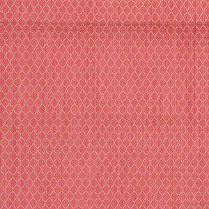 Oggi Strie Carnation by Kravet Smart Fabric