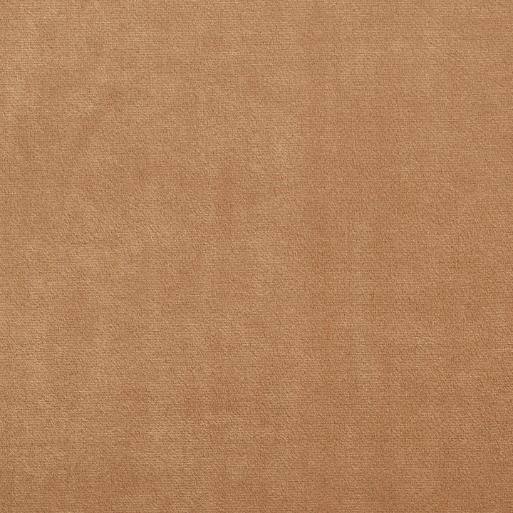 2689 Camel by Charlotte Fabric Ring Book Page #12A 100% Woven Polyester Velvet Asia Exceeds 100,000 Wyzenbeek Rubs (Heavy Duty) No Repeat 54 Inches - Fabric Carolina -