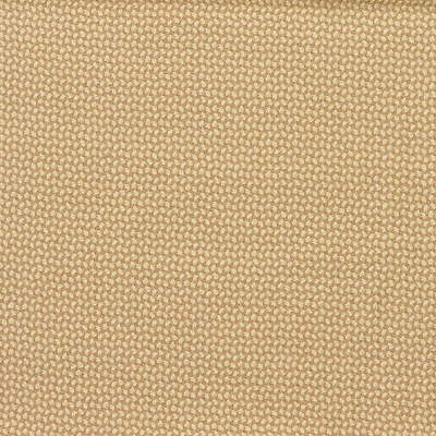 Wingdale Ecru by Kravet Basics Fabric