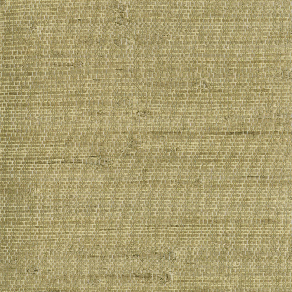 Heisoku Celery Paper Weave Wallpaper by Kenneth James Zen Grasscloth Covers about 72 square feet 36-in by 24-ft long roll Unpasted 0 - Fabric Carolina -