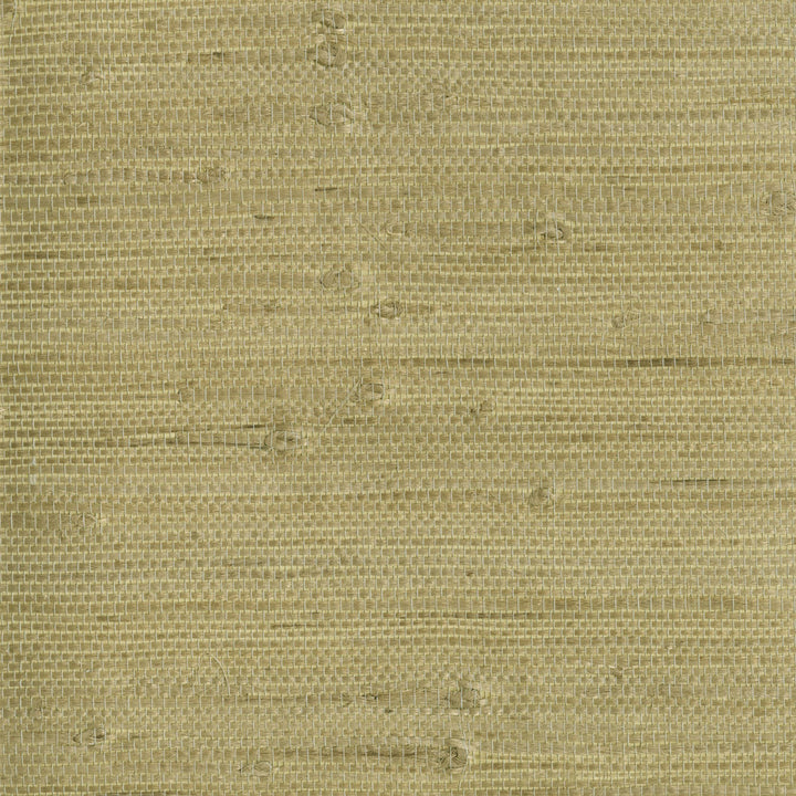 Heisoku Celery Paper Weave Wallpaper by Kenneth James Zen Grasscloth Covers about 72 square feet 36-in by 24-ft long roll Unpasted 0 - Fabric Carolina -