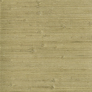 Heisoku Celery Paper Weave Wallpaper by Kenneth James