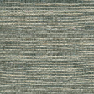 Heisoku Slate Grasscloth Wallpaper by Kenneth James