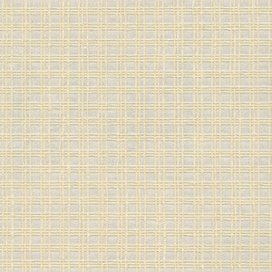 Nonen Champagne Paper Weave Wallpaper by Kenneth James