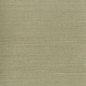 Kenjitsu Mint Grasscloth Wallpaper by Kenneth James