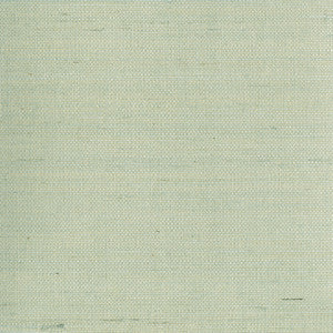 Mugen Light Green Grasscloth Wallpaper by Kenneth James