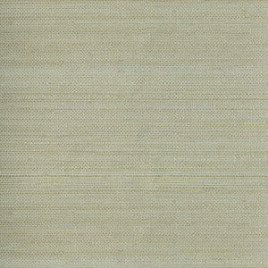 Myoki Neutral Grasscloth Wallpaper by Kenneth James