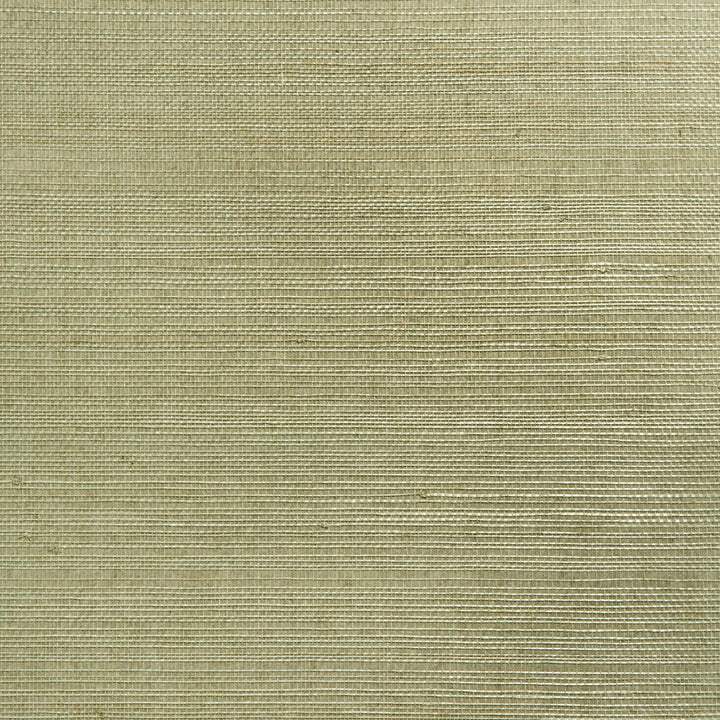 Mutei Sage Grasscloth Wallpaper by Kenneth James Zen Grasscloth Covers about 72 square feet 36-in by 24-ft long roll Unpasted 0 - Fabric Carolina -