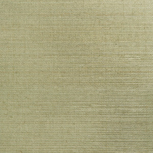 Mutei Sage Grasscloth Wallpaper by Kenneth James