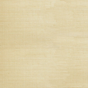 Zenyu Khaki Grasscloth Wallpaper by Kenneth James