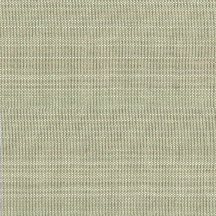 Mitta Light Green Grasscloth Wallpaper by Kenneth James Zen Grasscloth Covers about 72 square feet 36-in by 24-ft long roll Unpasted 0 - Fabric Carolina -