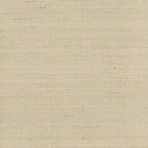 Han Me Champagne Sisal Grasscloth Wallpaper by Kenneth James