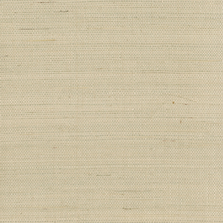 Han Me Champagne Sisal Grasscloth Wallpaper by Kenneth James Zen Grasscloth Covers about 72 square feet China Unpasted No repeat, random match 36-in by 24-ft long roll - Fabric Carolina -