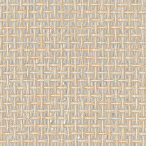 Tai Xi Cream Grasscloth Wallpaper by Kenneth James