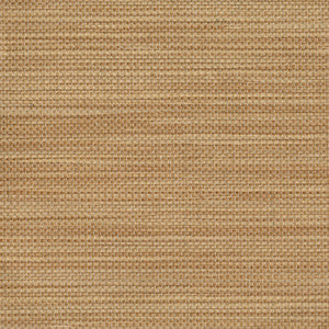 Kenshin Neutral Grasscloth Wallpaper by Kenneth James