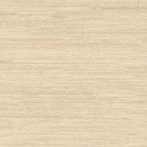 Shinko Champagne Grasscloth Wallpaper by Kenneth James
