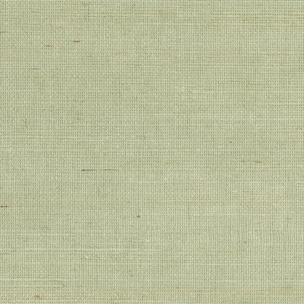 Popun Light Green Sisal Grasscloth Wallpaper by Kenneth James Zen Grasscloth Covers about 72 square feet 36-in by 24-ft long roll Unpasted 0 - Fabric Carolina -