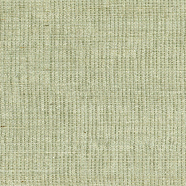 Popun Light Green Sisal Grasscloth Wallpaper by Kenneth James Zen Grasscloth Covers about 72 square feet 36-in by 24-ft long roll Unpasted 0 - Fabric Carolina -