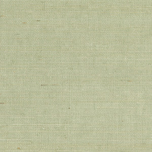 Popun Light Green Sisal Grasscloth Wallpaper by Kenneth James