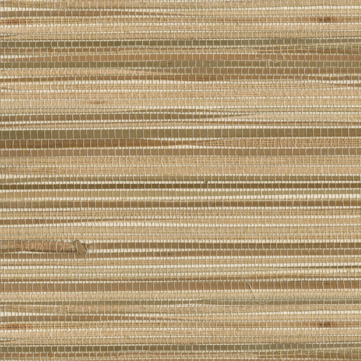 Dazo Neutral Grasscloth Wallpaper by Kenneth James Zen Grasscloth Covers about 72 square feet 36-in by 24-ft long roll Unpasted 0 - Fabric Carolina -