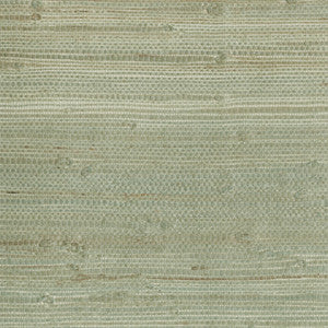 Myogen Golden Green Grasscloth Wallpaper by Kenneth James
