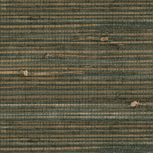 Reju Charcoal Grasscloth Wallpaper by Kenneth James