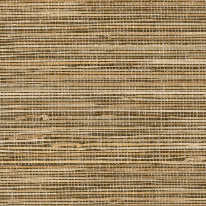 Seiju Wheat Grasscloth Wallpaper by Kenneth James Zen Grasscloth Covers about 72 square feet 36-in by 24-ft long roll Unpasted 0 - Fabric Carolina -