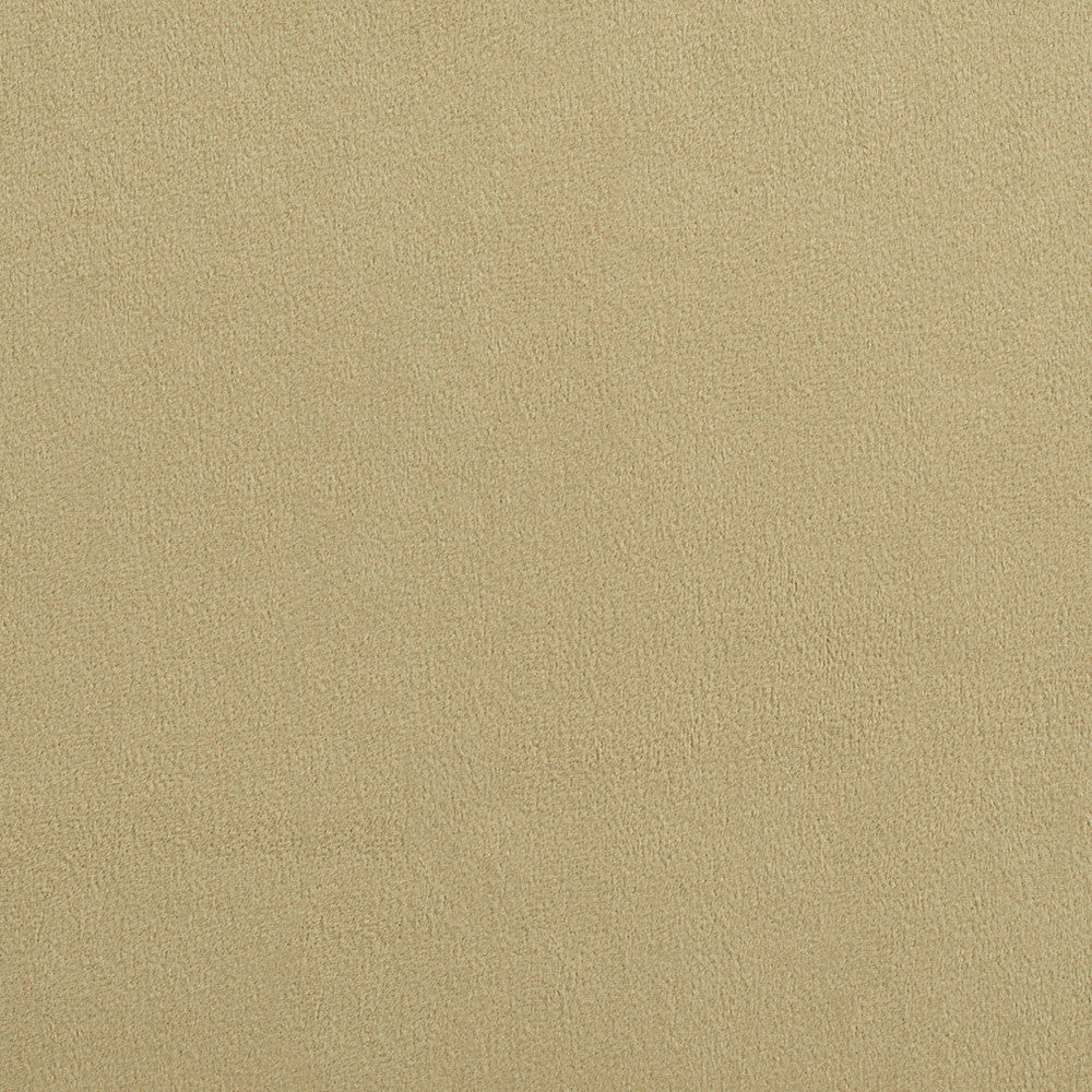 2695 Cypress by Charlotte Fabric Ring Book Page #12A 100% Woven Polyester Asia Exceeds 100,000 Wyzenbeek Rubs (Heavy Duty) </p><p>Repeat: No Repeat 54 Inches - Fabric Carolina -