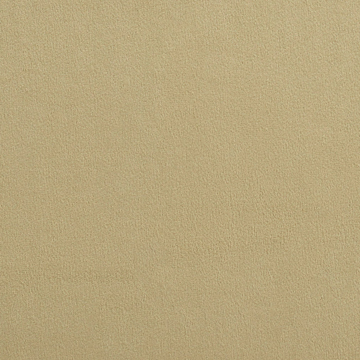 2695 Cypress by Charlotte Fabric Ring Book Page #12A 100% Woven Polyester Velvet Asia Exceeds 100,000 Wyzenbeek Rubs (Heavy Duty) No Repeat 54 Inches - Fabric Carolina -