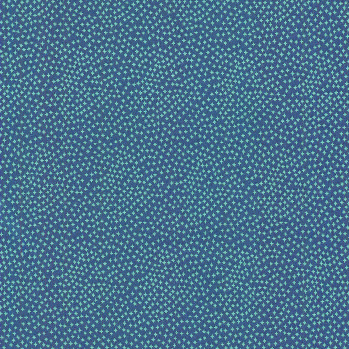 Following Stars Sapphire 270065 by Tracy Porter Fabric SOULFUL VOYAGER 100% Polyester INDIA Wyzenbeek 51,000 Horizontal: 0.00" and Vertical: 0.00" 54" - Fabric Carolina -